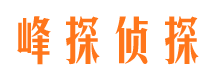 兰西市场调查